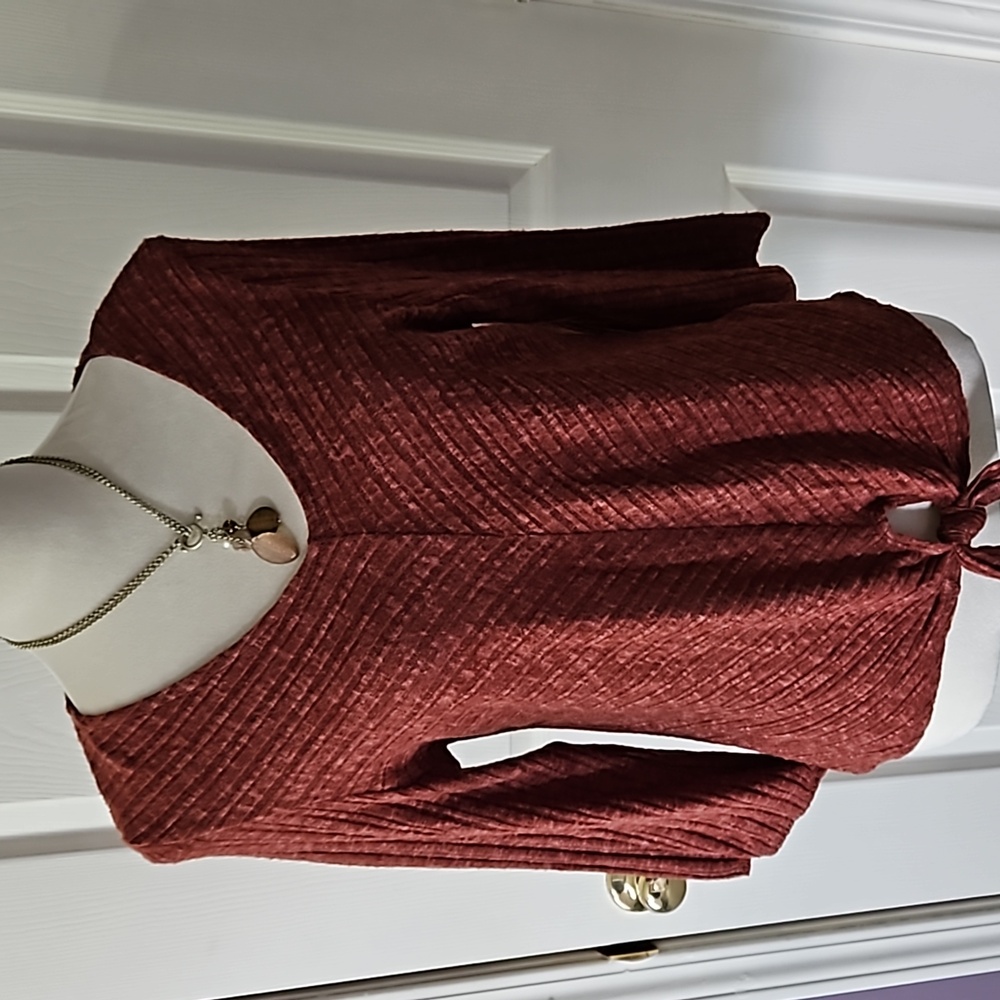 Anthropologie W5 large rust sweater